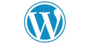 wordpress-used-by-digital-marketing-Analyst-in-jeddah